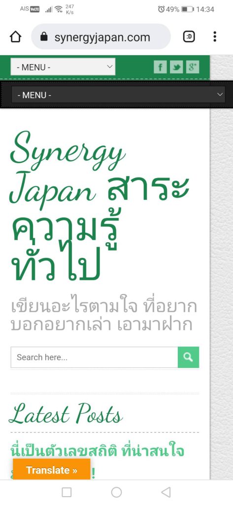 https://synergyjapan.com/